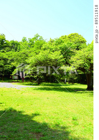 滝山城 続日本100名城 滝山城 続日本100名城 89511918