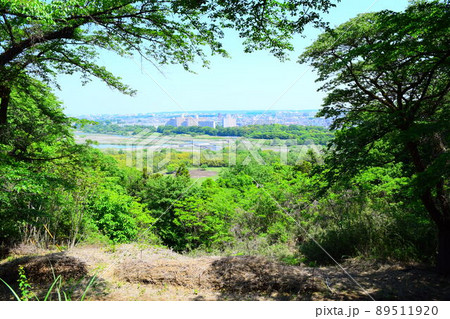 滝山城 続日本100名城 滝山城 続日本100名城 89511920