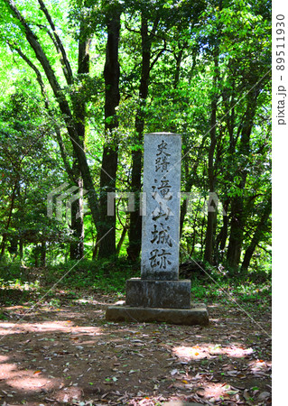 滝山城　続日本100名城 89511930