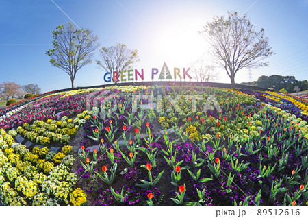 北九州市若松区にある市内最大公園グリーンパーク 北九州市若松区にある市内最大公園グリーンパーク 89512616
