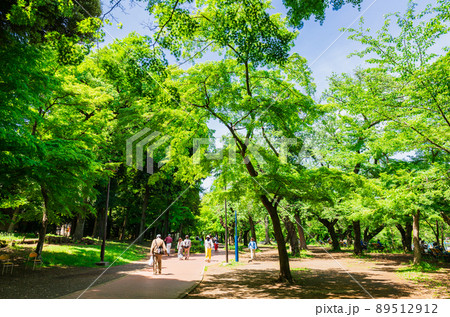 吉祥寺　休日の井の頭公園 89512912