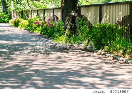 春の新緑の目黒川沿い 春の新緑の目黒川沿い 89513667