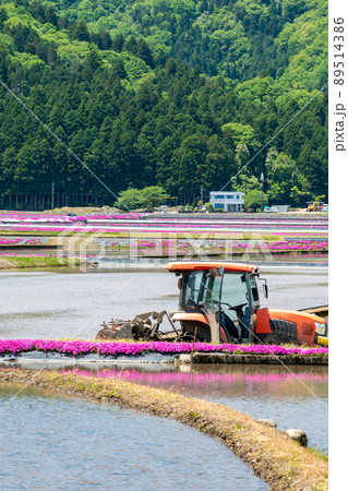 福井県大野市(シバザクラの里)芝桜/2022年5月撮影 福井県大野市(シバザクラの里)芝桜/2022年5月撮影 89514386