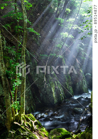 【長野県・巣栗渓谷】静かな渓谷でリフレッシュ 7月 8月 89514877