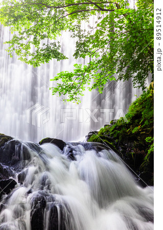 【長野県・巣栗渓谷】静かな渓谷でリフレッシュ 7月 8月 【長野県・巣栗渓谷】静かな渓谷でリフレッシュ 7月 8月 89514912