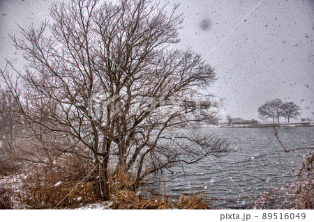雪、吹雪、自然、自然風景、風景、湖、湖畔、冬、寒い、冷たい、横殴りの雪、沢山、白、大雪、雪景色、冬景 89516049