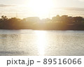 綺麗な逆光の風景 89516066