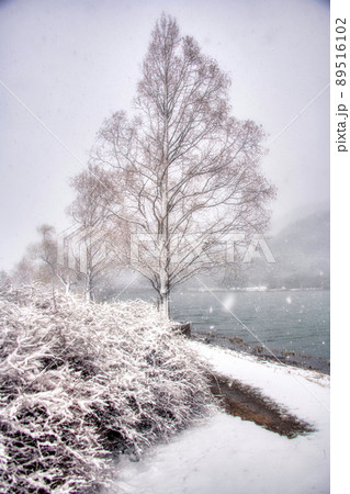 横殴りの雪2022年2月 89516102