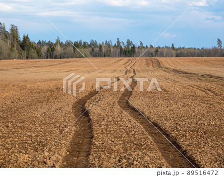 A trace of a tractor on a collective farm plowed field. Arable land in front of the forest. Landscape with agricultural land, recently played and prepared for the crop. A trace of a tractor on a collective farm plowed field. Arable land in front of the forest. Landscape with agricultural land, recently played and prepared for the crop. 89516472