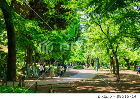 吉祥寺　休日の井の頭公園 89516714