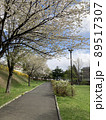 Cherry Blossoms 89517307