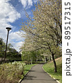 Cherry Blossoms 89517315