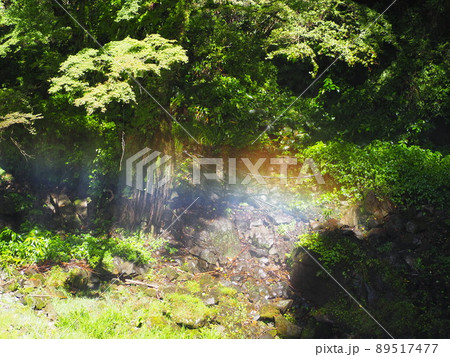 慈恩の滝と美しい虹 大分県 89517477