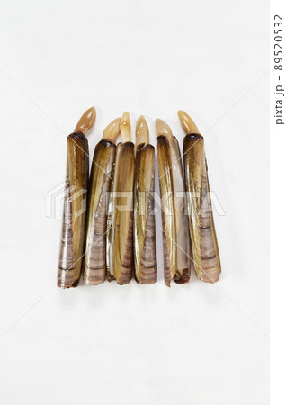 Grooved razor shell on white background 89520532