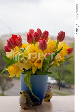 Red Tulips and Yellow Narcissus in a beautiful Spring Bouquet.  89520669