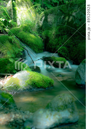 名水百選に選ばれた場所 名水百選に選ばれた場所 89520928