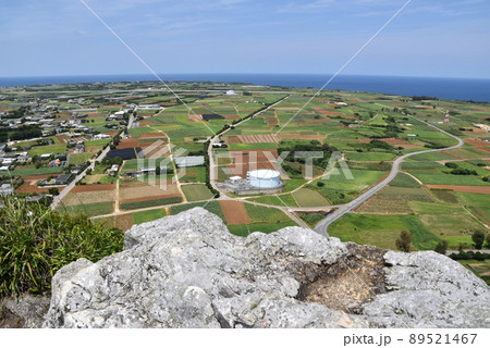 伊江島タッチュー 89521467