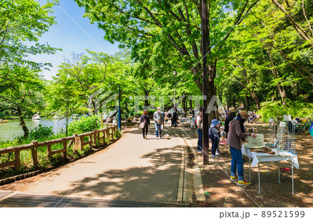 吉祥寺　ゴールデンウィークの井の頭公園 89521599
