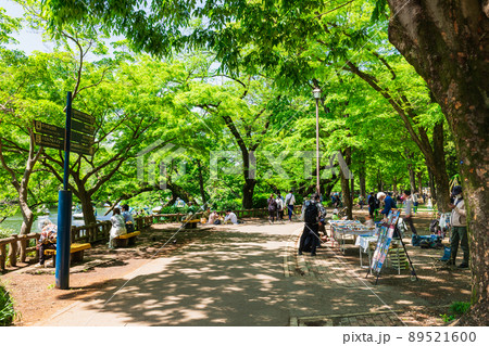 吉祥寺　ゴールデンウィークの井の頭公園 89521600