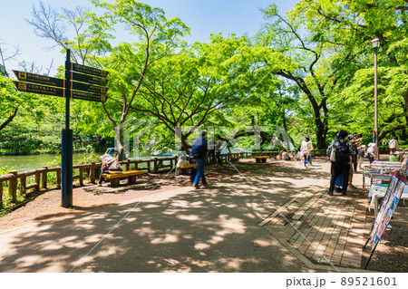 吉祥寺 ゴールデンウィークの井の頭公園 吉祥寺 ゴールデンウィークの井の頭公園 89521601