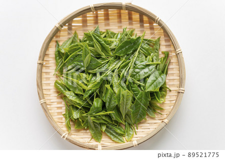 日本茶の代名詞やぶきた茶の新茶 89521775