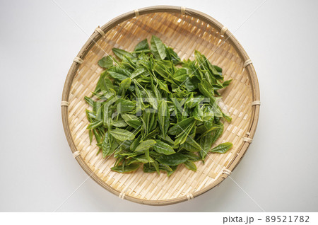 日本茶の代名詞やぶきた茶の新茶 89521782