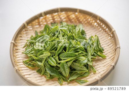日本茶の代名詞やぶきた茶の新茶 日本茶の代名詞やぶきた茶の新茶 89521789