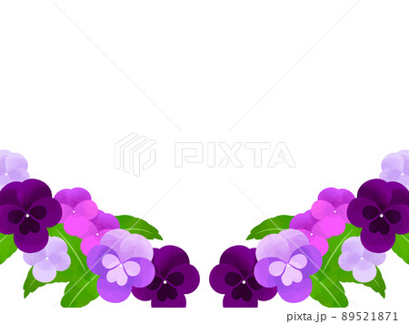 パンジーとビオラのイラストフレームのイラスト素材