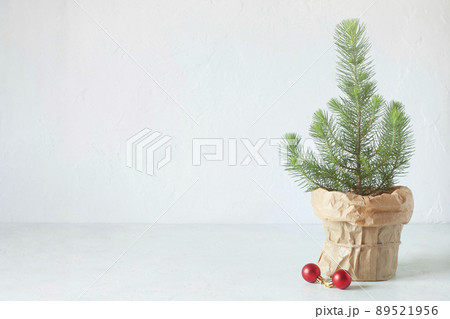 Mini Christmas tree on the white wall background Mini Christmas tree on the white wall background 89521956