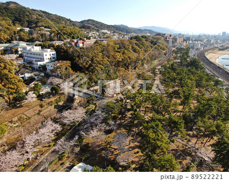 鉢伏山の麓の須磨浦公園の桜並木の空撮 89522221