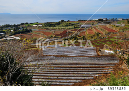 長島の風景 長島の風景 89523886
