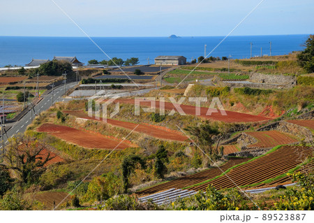 長島の風景 89523887