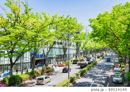 東京　新緑の表参道 89524140