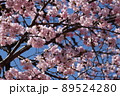 ウキウキワクワク 89524280