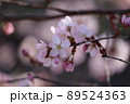 この時間が大切 89524363