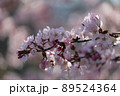 胸キュン 89524364