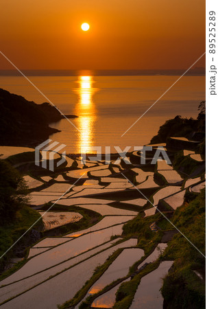 浜野浦の棚田の夕日3 浜野浦の棚田の夕日3 89525289