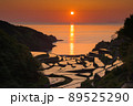浜野浦の棚田の夕日4 89525290