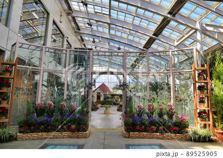 山中湖花の都公園(山梨県) 山中湖花の都公園(山梨県) 89525905