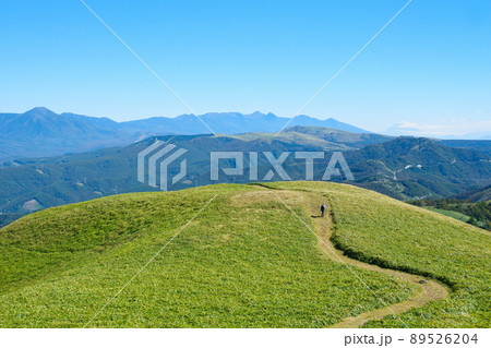 信州ビーナスライン・三峰山トレッキング (八ヶ岳方面の眺め) 信州ビーナスライン・三峰山トレッキング (八ヶ岳方面の眺め) 89526204
