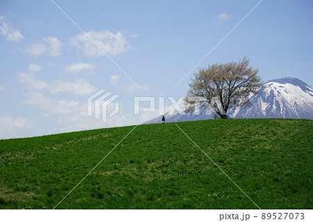 三角山の一本桜 89527073