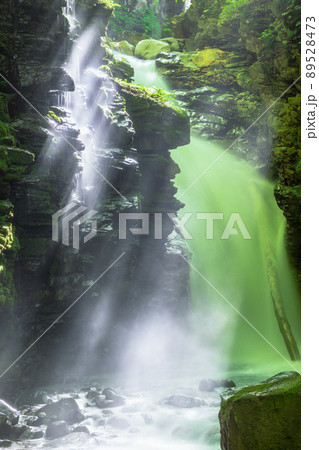 【栃木県・スッカン沢】水飛沫を揚げる雄飛の滝 7月 8月 【栃木県・スッカン沢】水飛沫を揚げる雄飛の滝 7月 8月 89528473