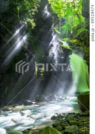 【栃木県・スッカン沢】水飛沫を揚げる雄飛の滝 7月 8月 【栃木県・スッカン沢】水飛沫を揚げる雄飛の滝 7月 8月 89528474