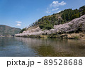 琵琶湖　海津大崎の桜 89528688