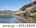 琵琶湖　海津大崎の桜 89528689