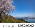 琵琶湖　海津大崎の桜 89529392