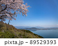 琵琶湖　海津大崎の桜 89529393