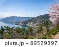 琵琶湖　海津大崎の桜 89529397