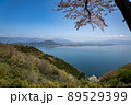 琵琶湖　海津大崎の桜 89529399