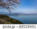 琵琶湖　海津大崎の桜 89529401